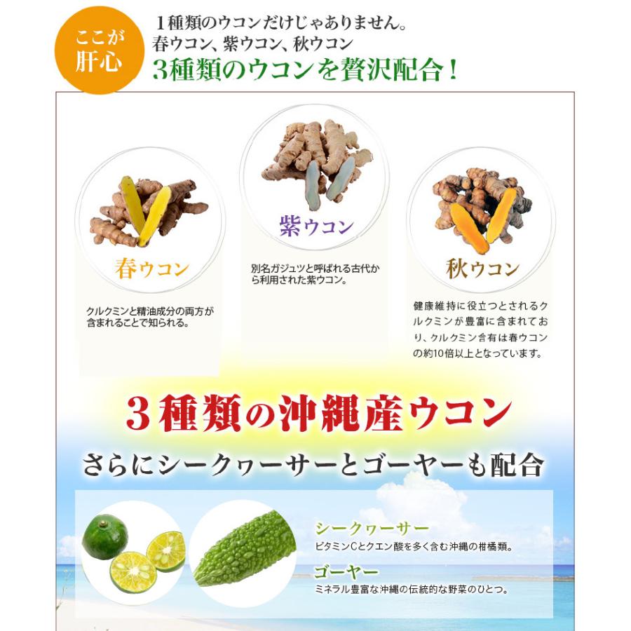 正規認証品 新規格 日本直販 沖縄産 トリプルウコンex プラス New リニューアル 沖縄ウコン Ukon うこん サプリ サプリメント 1本お試し Discoversvg Com