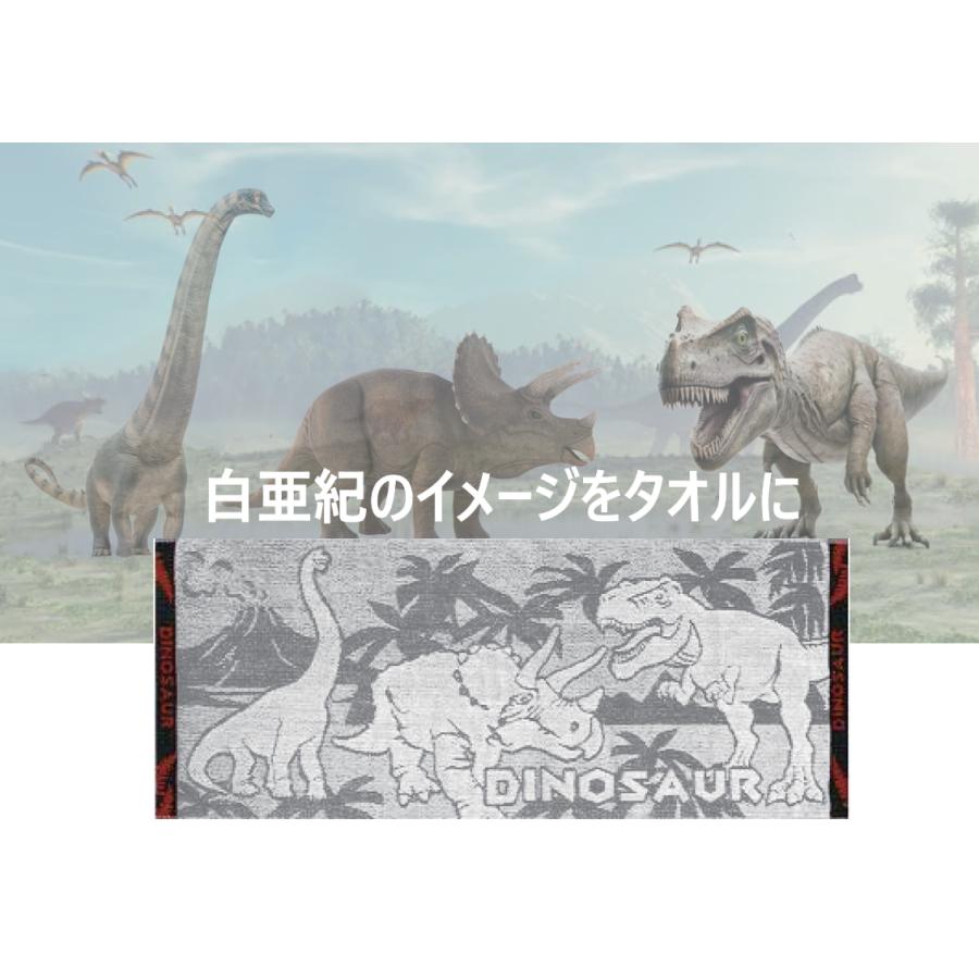 恐竜フェイスタオル : ほんわか日和 - 通販 - Yahoo!ショッピング 恐竜フェイスタオル : ほんわか日和 - 通販 - Yahoo!ショッピング