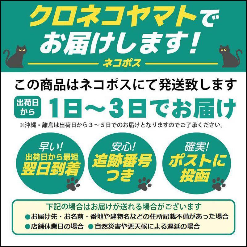 セーフティーライト LED 5個搭載 クリップ型 LEDライト 3パターン 発光 モード切替 事故防止 ランニング ストロボ発光 ランニングライト 取説付き｜happinetsplus｜15