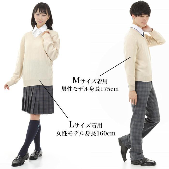送料無料 綿混 スクールセーター 男女兼用 Vネック ニットセーター 学生 男子 女子 メンズ レディース 女子高生 高校 中学 学校 紺 ネイビー ベージュ グレー Cl0017 スクールファッション Classroom 通販 Yahoo ショッピング