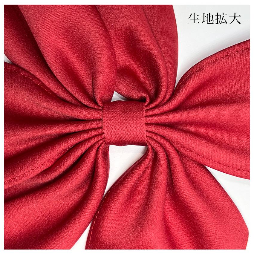 HANECTONE ダブル蝶タイ スナップタイプ ハネクトーン リボン