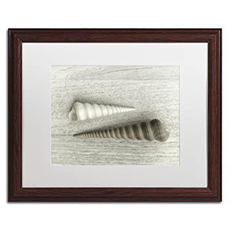【2021新春福袋】 商標Fine Art Sea Snail Shells byコーラNieleのアートワーク木製フレームホワイトマット 16x20 ALI1863-W1 オブジェ、置き物