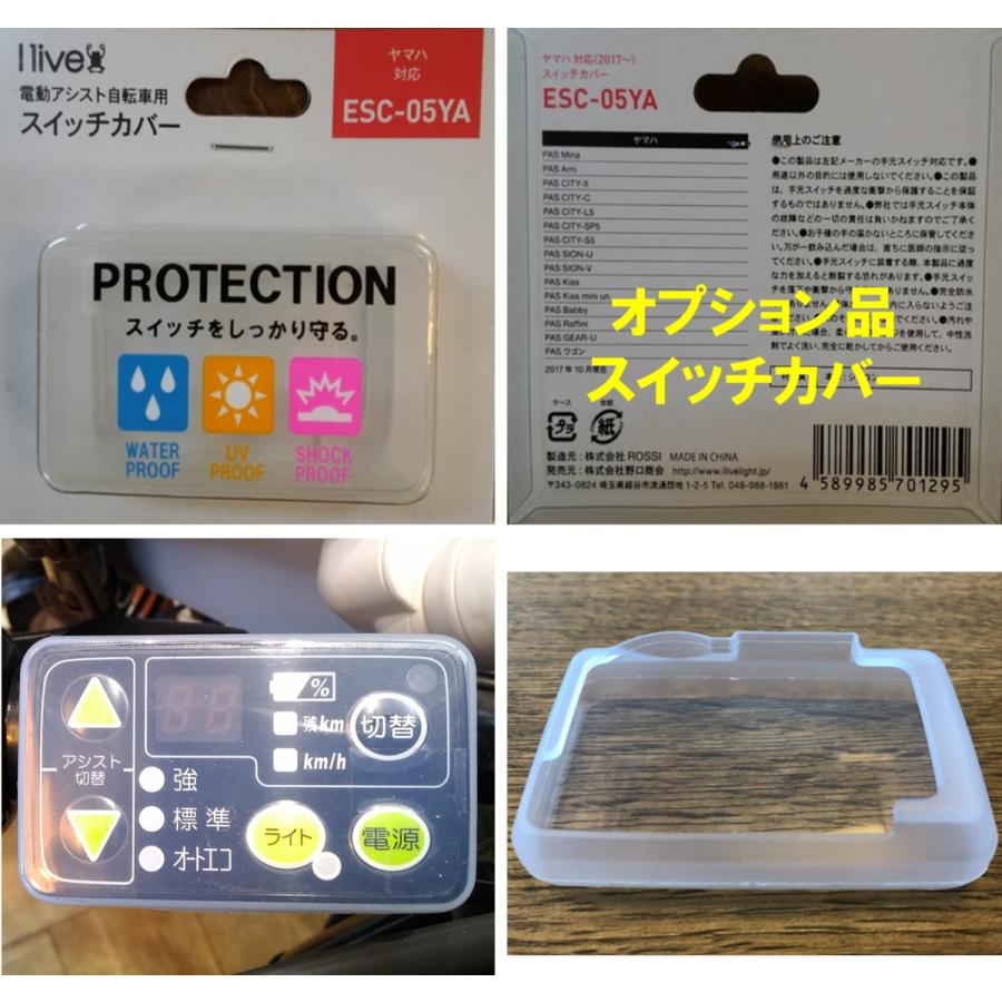 BRIDGESTONE（ブリヂストン） 電動自転車 アシスタU DX（デラックス