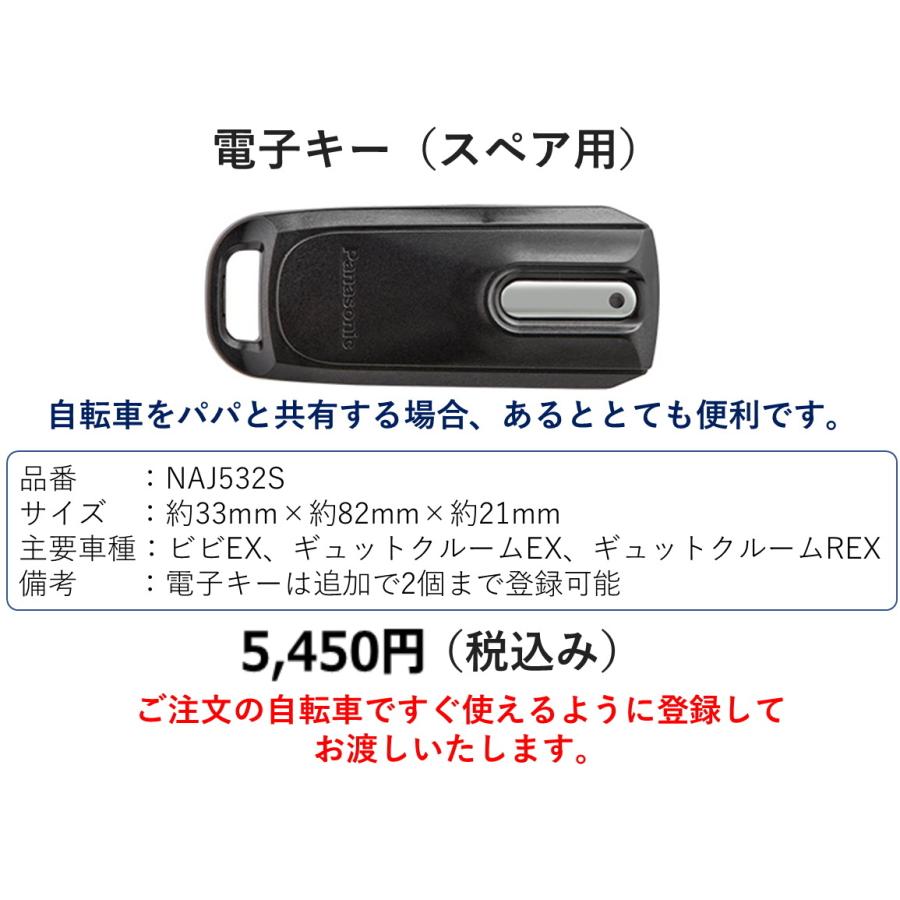 Panasonic（パナソニック） 電動自転車 ビビ EX（VIVI EX） 24インチ