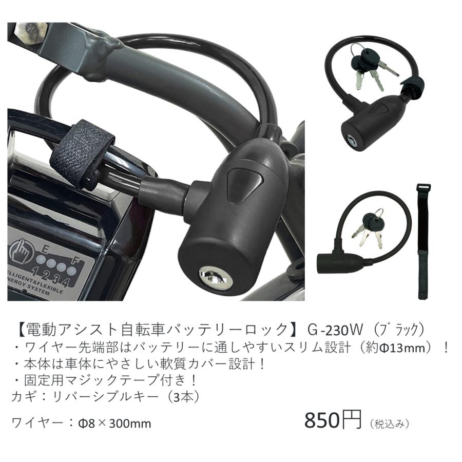 Panasonic（パナソニック） 電動自転車 グリッター ペット乗せカスタム