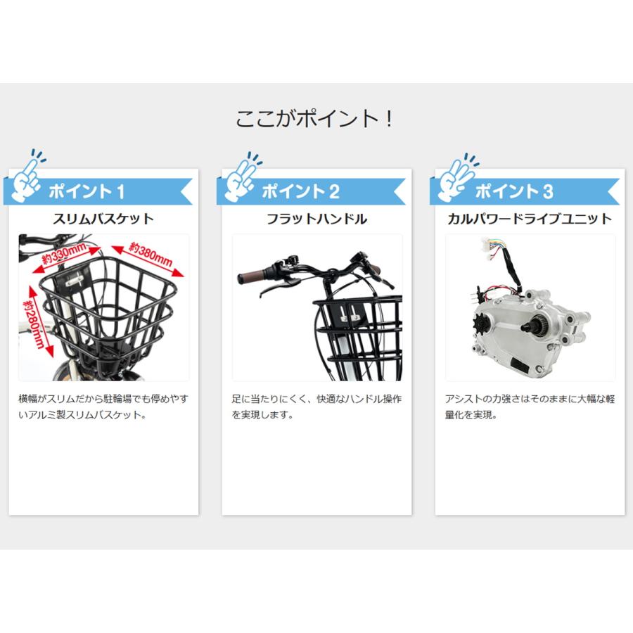 Panasonic（パナソニック） 電動自転車 グリッター ペット乗せカスタム