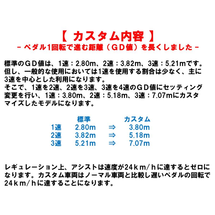 Panasonic（パナソニック） 電動自転車 ティモL（TIMO） カスタム
