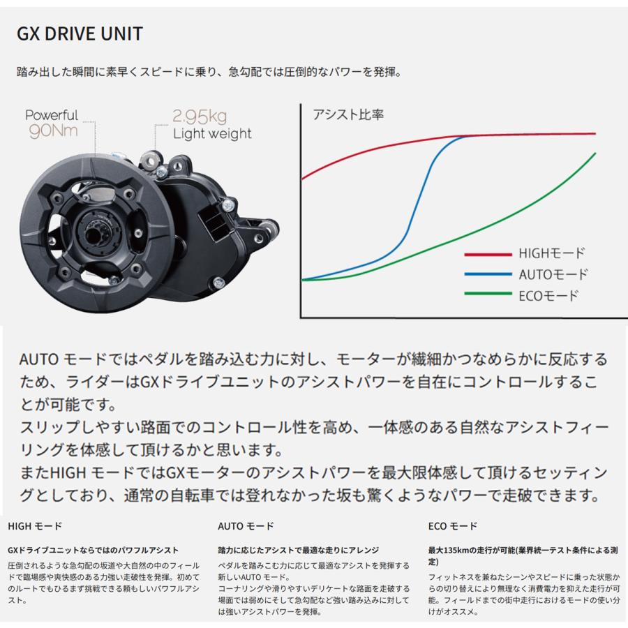 Panasonic（パナソニック） 電動自転車 XEALT M5 13.0Ah/36.0v BE