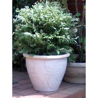 ハッピーガーデン/HappyGarden【Yahoo!ショッピング店】