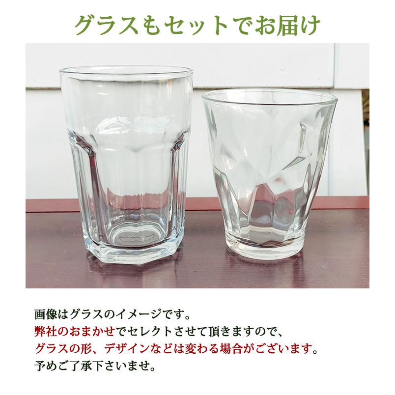 ムスカリ 水耕栽培キット ムスカリ 球根25球 選べる種類 円柱グラス付き お届け中 Muscari Hydroponic Culture アルメニアカム アズレウム ダークアイ Bu 20muscarihydro25b Happygarden 通販 Yahoo ショッピング