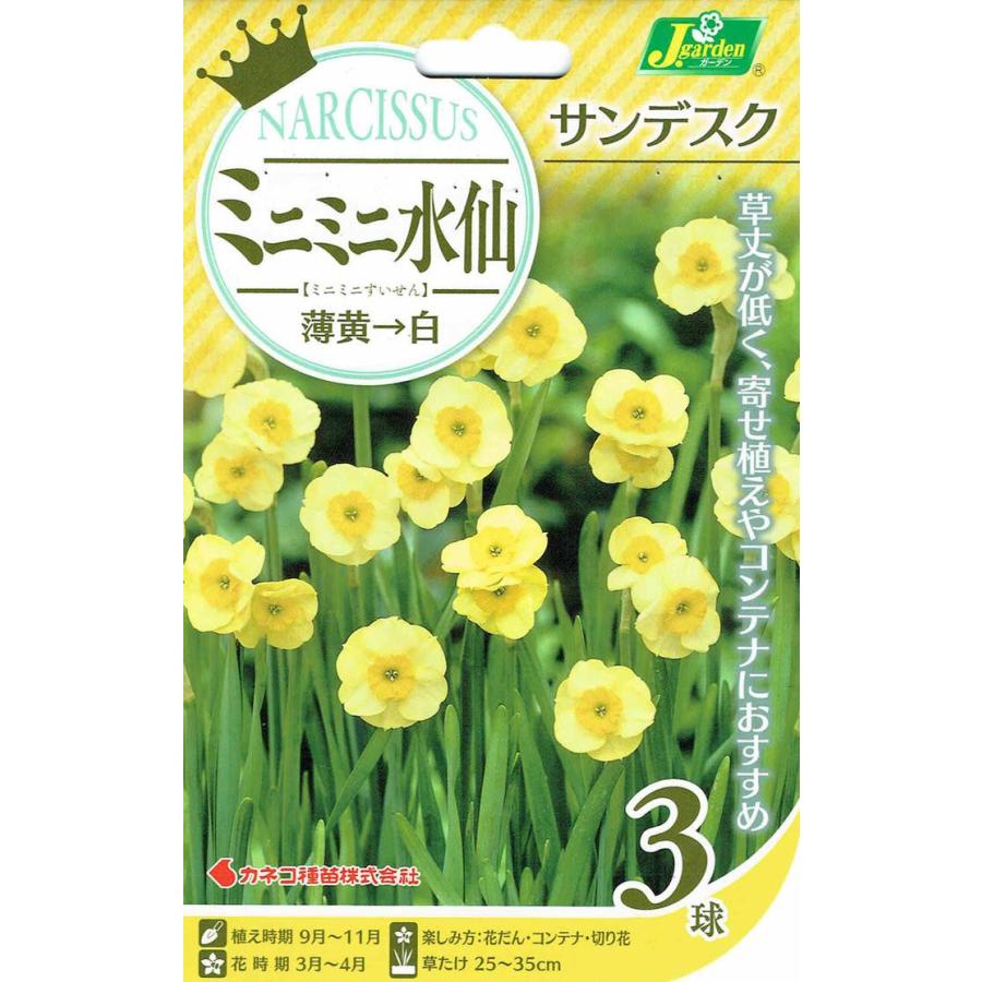 中型球根 ミニミニ水仙 サンデスク 3球 9月下旬 秋植先行予約 球根 鉢植え 庭植え 寄せ植え ガーデニング コンテナ 切り花 Minimininarcissus コンパクト便でお Bu Ymn14miniminisuisen4q Happygarden 通販 Yahoo ショッピング