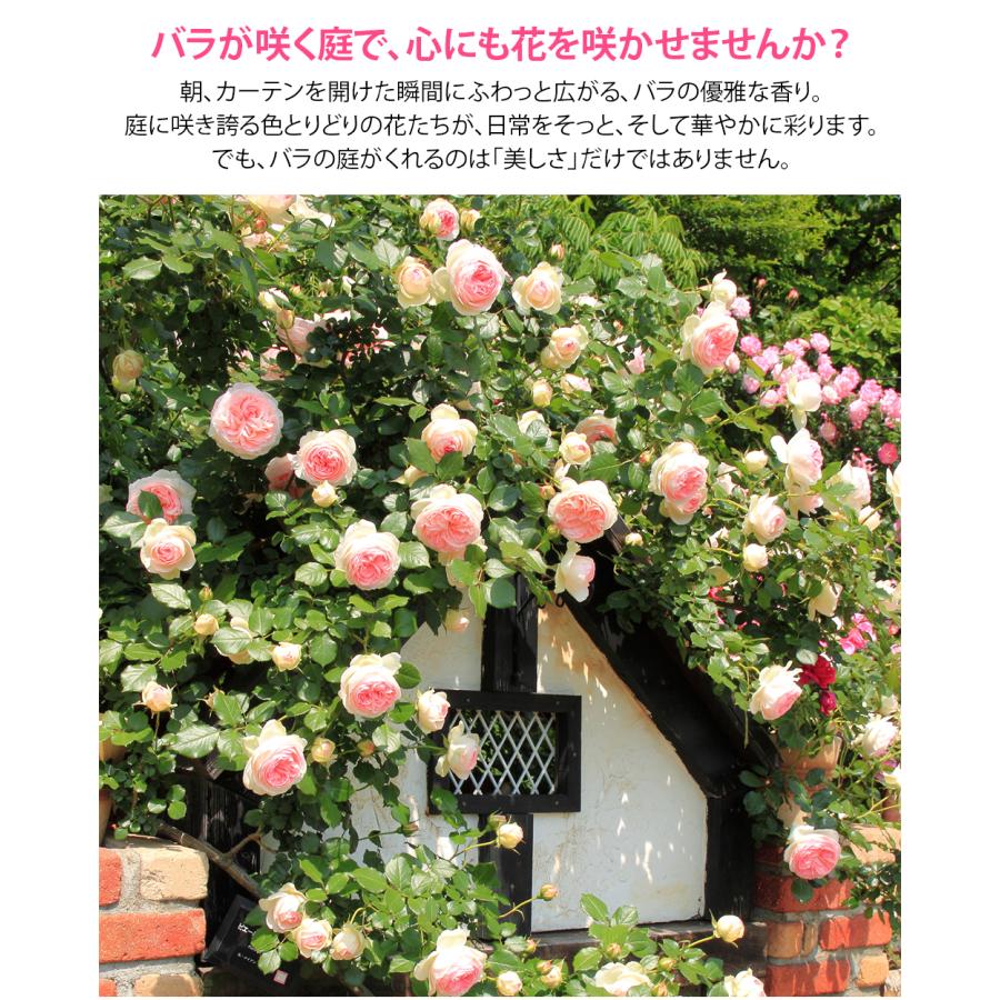 ドイリー1164❤️華麗なツル薔薇のドイリー特大78×33cm ドイリー1164❤️華麗なツル薔薇のドイリー特大78×33cm ドイリー