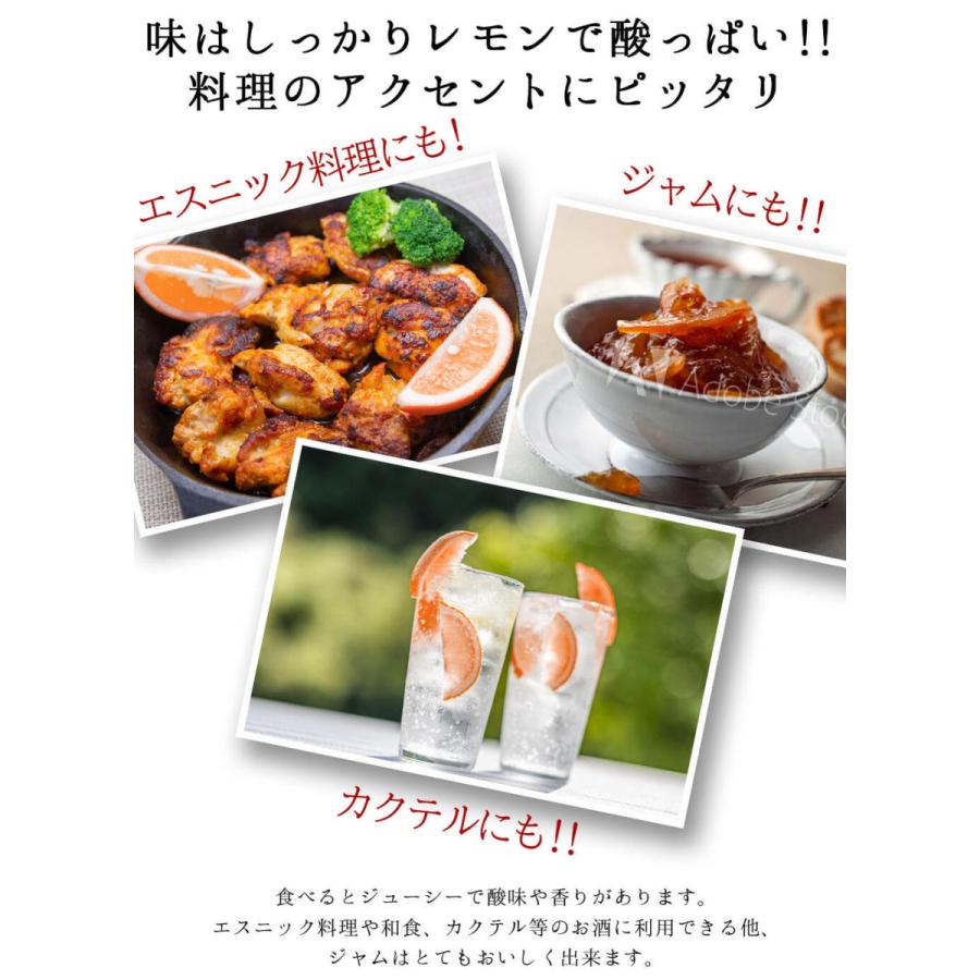 秋 ギフト 果樹鉢 プレゼント 珍しい 果樹 レッドレモン 7号 お届け中