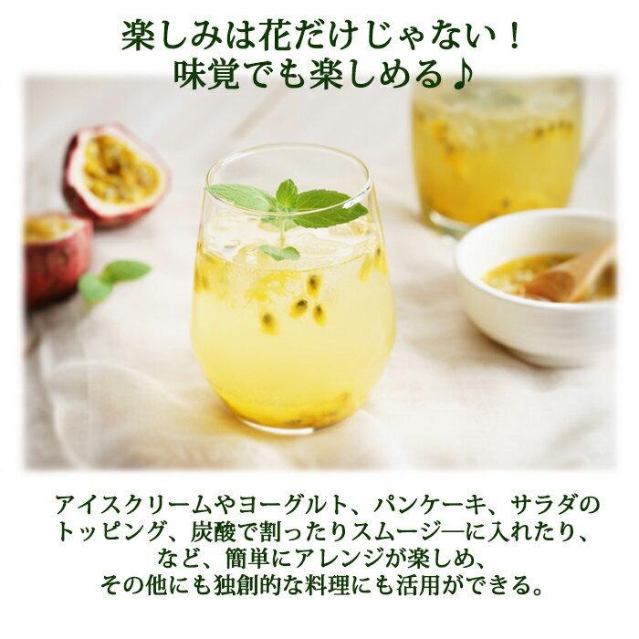 ギフト 果樹 鉢植え 果物 実付きパッションフルーツ トケイソウ鉢花 6号1鉢 父の日プレゼント Ne Hiy12passiflora Happygarden 通販 Yahoo ショッピング