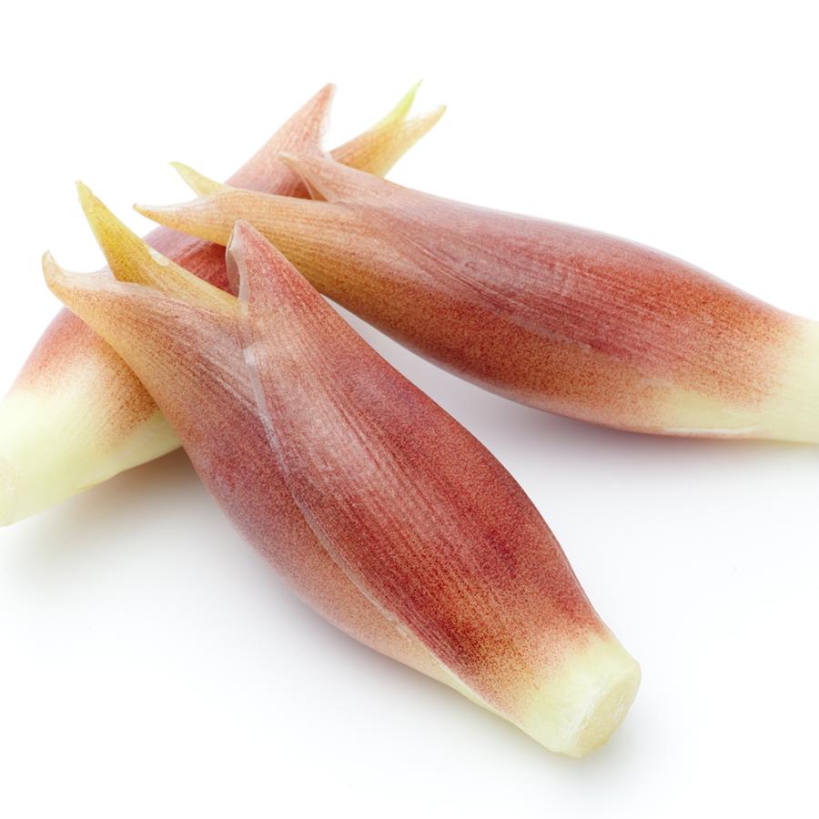 夏の香味野菜 ミョウガ 茗荷 苗 1鉢 2芽以上 3 3 5号 お届け中 野菜苗 茗荷 みょうが 野菜苗 山菜 山野草 家庭菜園 Ne Tsy11myouga1p Happygarden 通販 Yahoo ショッピング