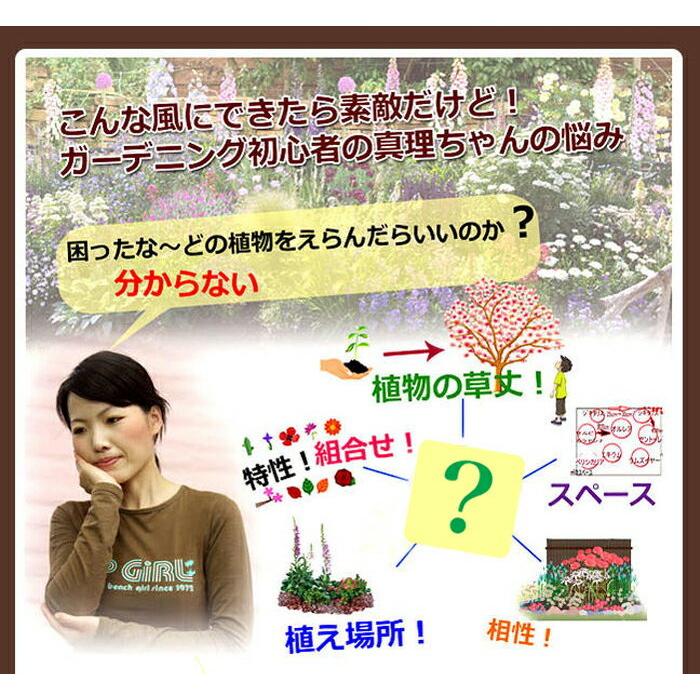 花苗セット 秋のイングリッシュガーデン 苗9鉢 幅1mｘ1m 花壇用 地域限定送料無料 一年草 宿根草 多年草 ナチュラルガーデン 英国 Sne Fmn08engset9p Happygarden 通販 Yahoo ショッピング