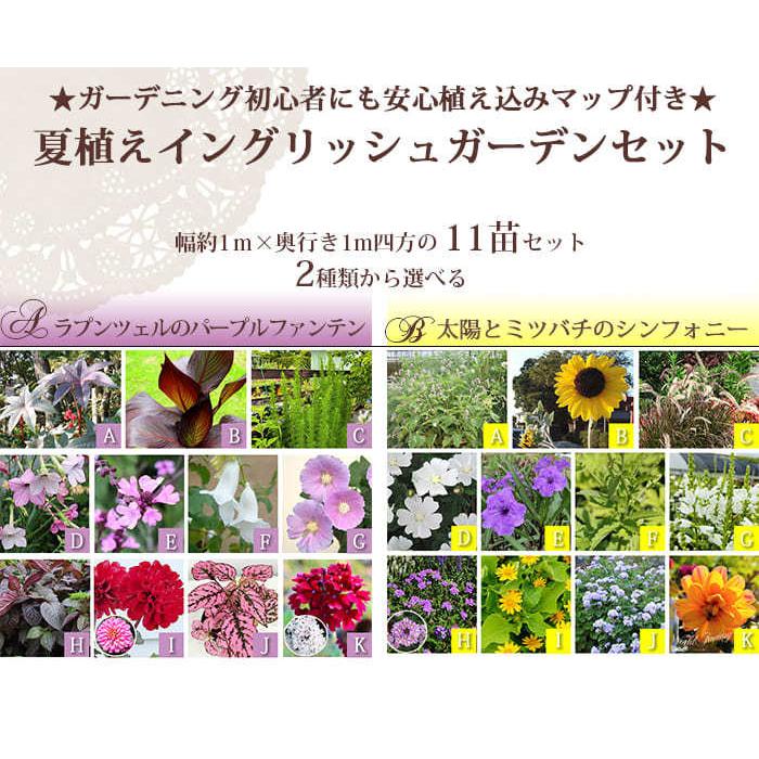 花苗セット 秋のイングリッシュガーデン 苗9鉢 幅1mｘ1m 花壇用 地域限定送料無料 一年草 宿根草 多年草 ナチュラルガーデン 英国 Sne Fmn08engset9p Happygarden 通販 Yahoo ショッピング