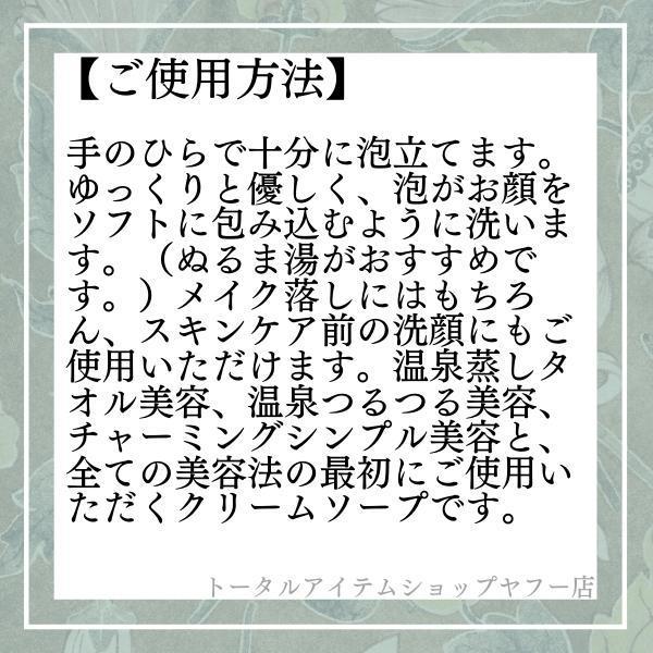 イオン化粧品 クリームソープ 120g 【送料無料・即日発送 イオン化粧品 クリームソープ 120g 【送料無料・即日発送