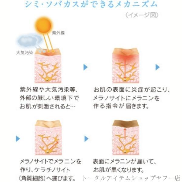 TOUTBLANC ノエビア トゥブラン 薬用ホワイトニングクリーム 35g