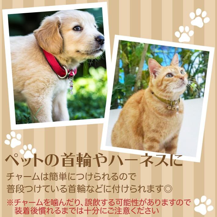 パワーストーン チャーム ペット用 お守り チャーム 犬 猫 イヌ ネコ yh｜happy-iwish｜03