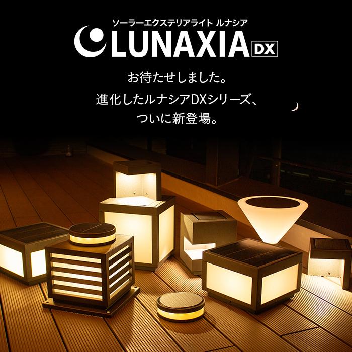 LUNAXIA（ルナシア） ソーラーライト 屋外 明るい 〔 ガーデンライト