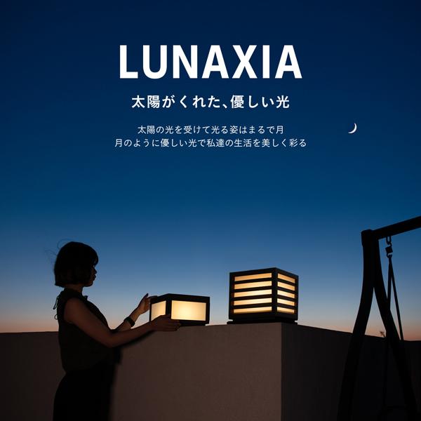 太陽☆様 確認用２(*'▽'*)♪ LUNAXIA ソーラーライト 屋外 明るい 〔 ガーデンライト 防水