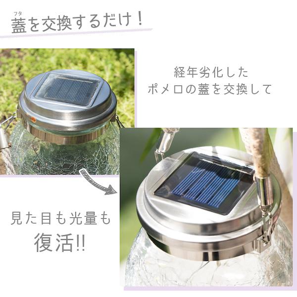 juliet sieera (再再購入用) XS CELESTE CHROME PINK | ZIIIRO(ジーロ) 公式 オンラインストア