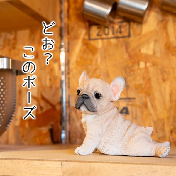 犬 置物 ガーデニング 雑貨 ガーデン オーナメント オブジェ 〔 フレンチブルドッグ 猫 庭 ペット WooBia｜happy-joint｜10