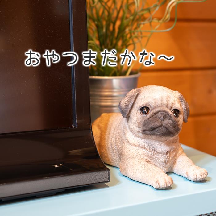 犬 置物 ガーデニング 雑貨 ガーデン オーナメント オブジェ 犬 置物 ガーデニング 雑貨 ガーデン オーナメント オブジェ