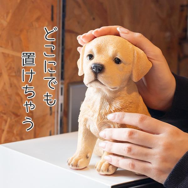 犬 置物 ガーデニング 雑貨 ガーデン オーナメント オブジェ 犬 置物 ガーデニング 雑貨 ガーデン オーナメント オブジェ