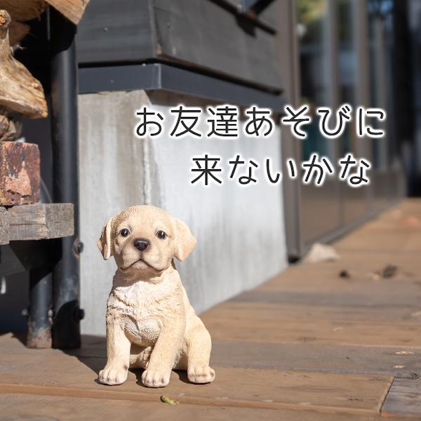 犬 置物 ガーデニング 雑貨 ガーデン オーナメント オブジェ 犬 置物 ガーデニング 雑貨 ガーデン オーナメント オブジェ