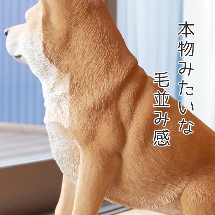 犬 置物 ガーデニング 雑貨 ガーデン オーナメント オブジェ 〔 柴犬