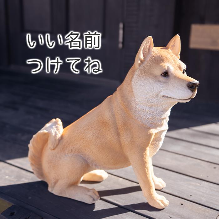 犬 置物 ガーデニング 雑貨 ガーデン オーナメント オブジェ 〔 柴犬