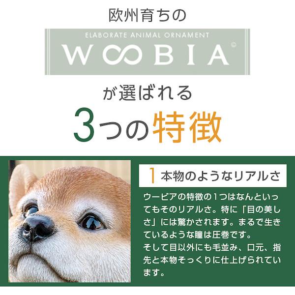 猫 置物 ガーデニング 雑貨 ガーデン オーナメント オブジェ 〔 サバトラ 犬 庭 ペット WooBia｜happy-joint｜02