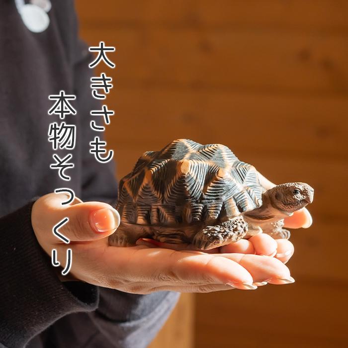 亀 置物 ガーデニング 雑貨 ガーデン オーナメント オブジェ 亀 置物 ガーデニング 雑貨 ガーデン オーナメント オブジェ