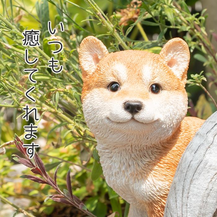 柴犬置物/陶器製/柴犬/オブジェ/オーナメント/犬の置物/高さ約67cm Amazon.co.jp: 柴犬置物/陶器製/柴犬/オブジェ/オーナメント/犬