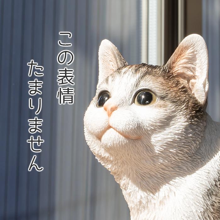 猫 置物 ガーデニング 雑貨 ガーデン オーナメント オブジェ