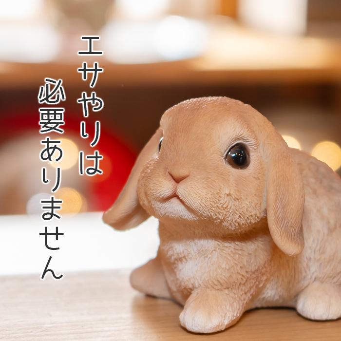うさぎ 置物 ガーデニング 雑貨 ガーデン オーナメント オブジェ うさぎ 置物 ガーデニング 雑貨 ガーデン オーナメント オブジェ