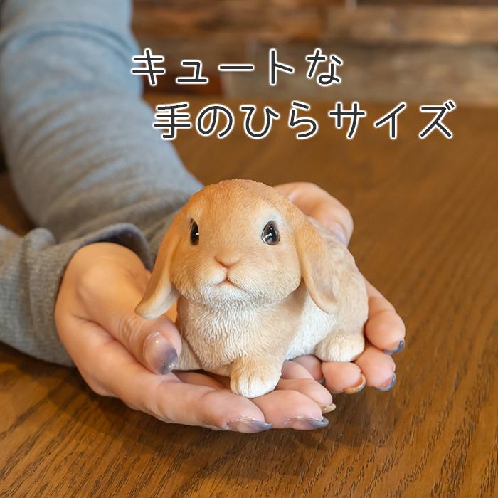 うさぎ 置物 ガーデニング 雑貨 ガーデン オーナメント オブジェ 〔 イングリッシュロップイヤー 犬 猫 庭 ペット WooBia｜happy-joint｜08