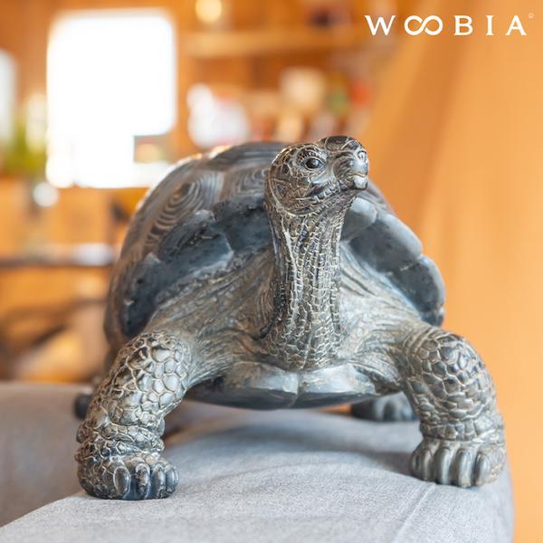 亀 置物 ガーデニング 雑貨 ガーデン オーナメント オブジェ