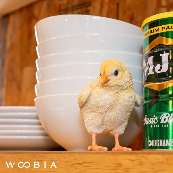 ひよこ 鳥 置物 ガーデニング 雑貨 ガーデン オーナメント オブジェ
