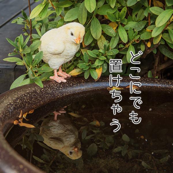 ひよこ 鳥 置物 ガーデニング 雑貨 ガーデン オーナメント オブジェ 〔 犬 猫 庭 ペット WooBia｜happy-joint｜05