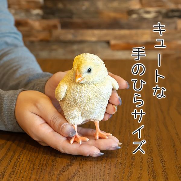 ひよこ 鳥 置物 ガーデニング 雑貨 ガーデン オーナメント オブジェ 〔 犬 猫 庭 ペット WooBia｜happy-joint｜08