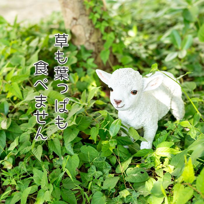 ひつじ 子羊 置物 ガーデニング 雑貨 ガーデン オーナメント
