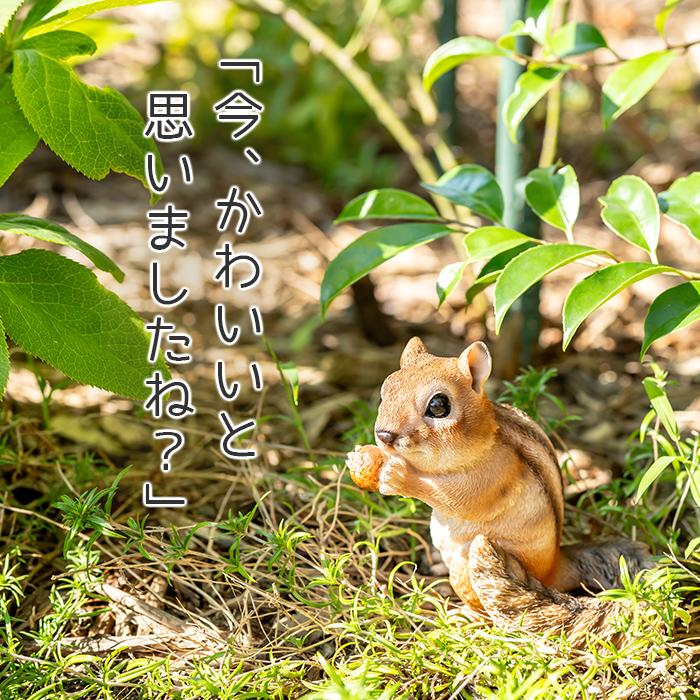 リス 子羊 置物 ガーデニング 雑貨 ガーデン オーナメント オブジェ