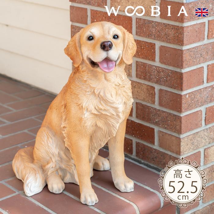 ※かつゴールデンレトリバー犬 オブジェ置物オーナメント実物大本物そっくり pg-11647_1.jpg