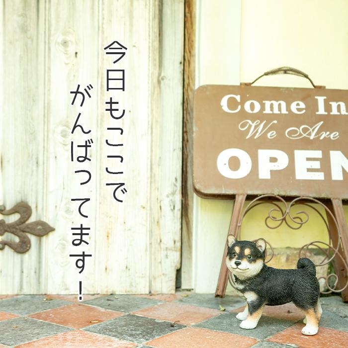 犬 置物 ガーデニング 雑貨 ガーデン オーナメント オブジェ 〔 柴犬