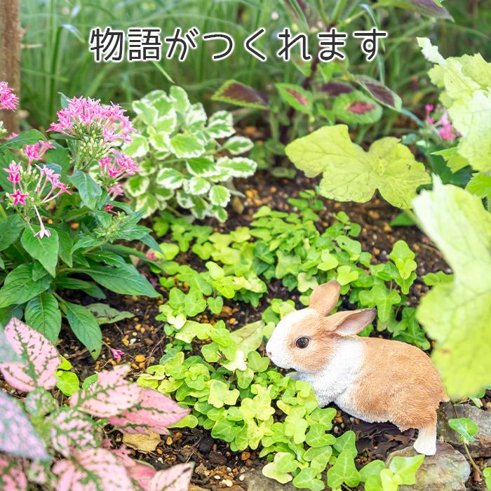 うさぎ 置物 ガーデニング 雑貨 ガーデン オーナメント オブジェ