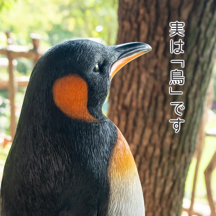ペンギン 置物 ガーデニング 雑貨 ガーデン オーナメント オブジェ