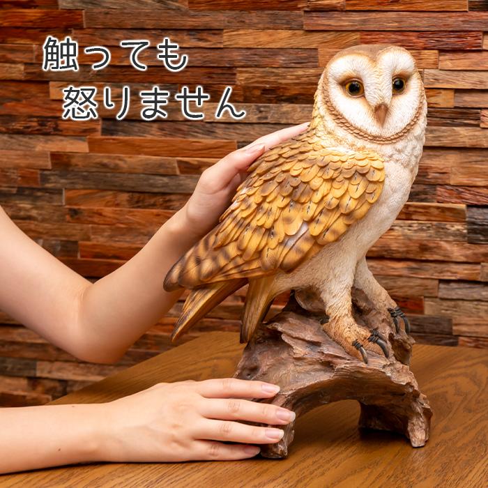 フクロウ ＊ オブジェ 置物 Amazon.co.jp: フクロウ 置物 オブジェ 北欧 F ふくろう 梟 リアル